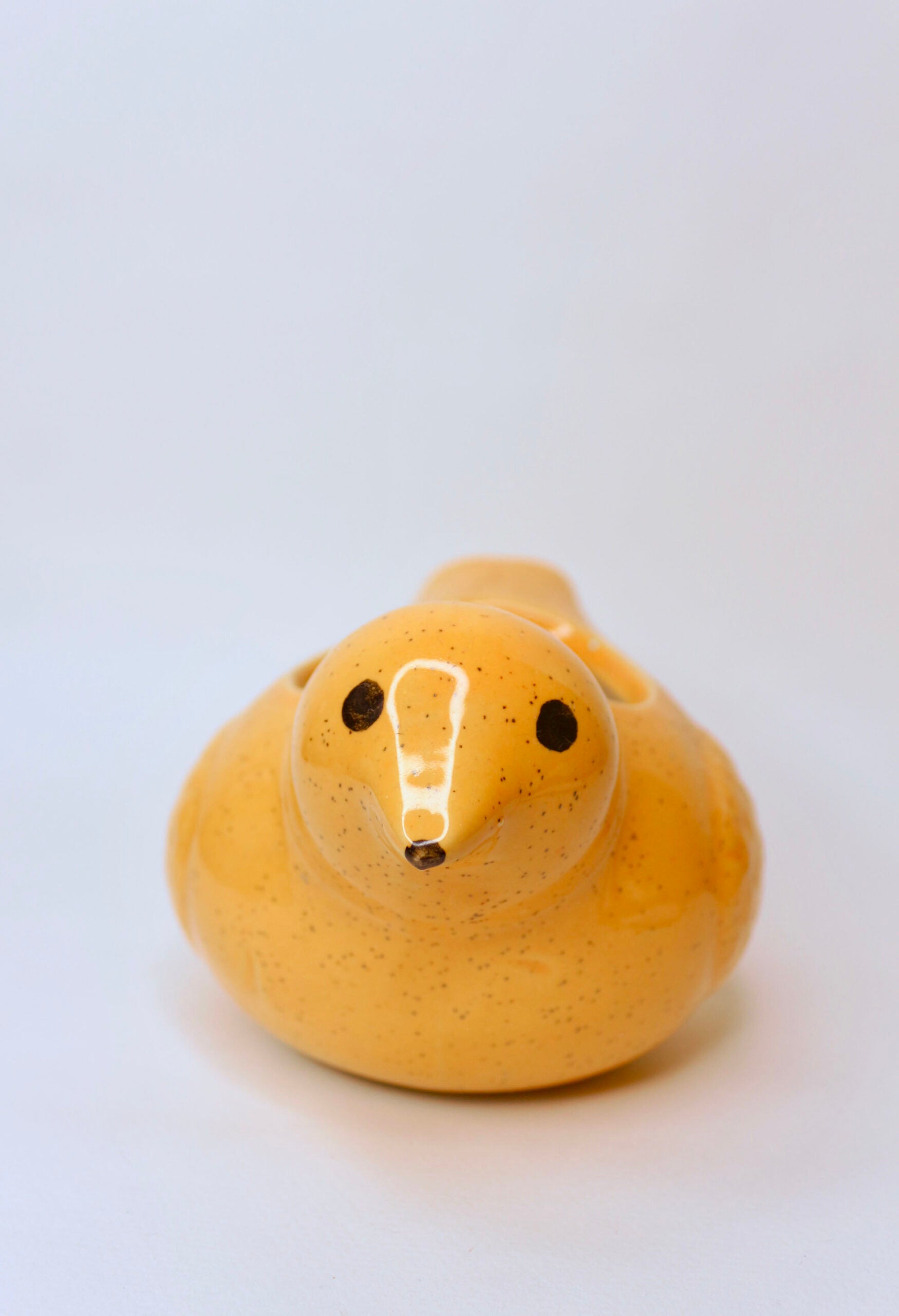 Cute Pigeon Planter