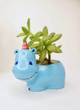 Happy Hippo Planter