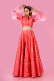 Pink Bell Sleeves Blouse And Lehenga Set
