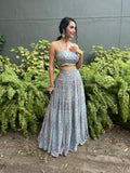 Designer Lehenga With Hand Embroidered Blouse